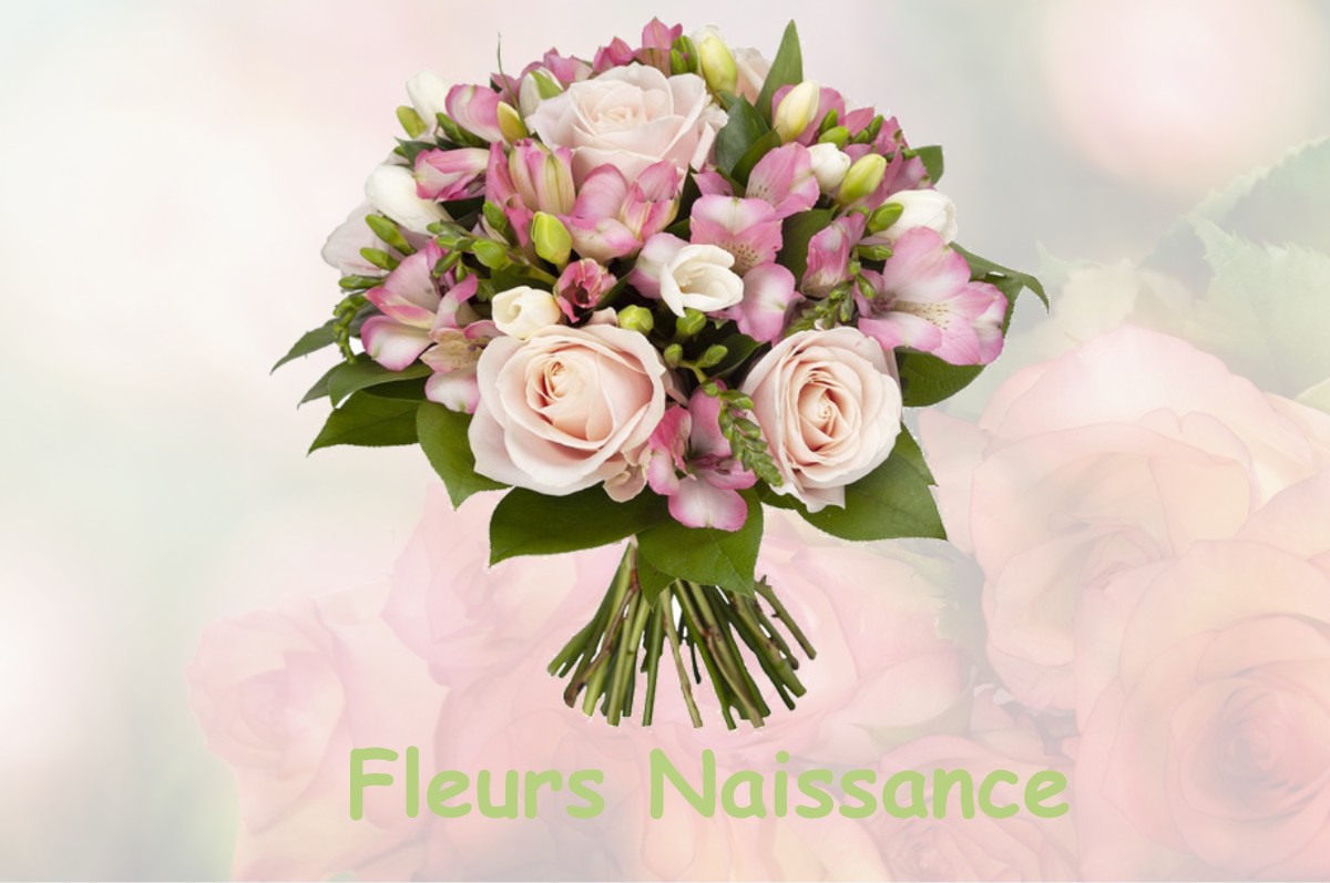 fleurs naissance VINCENT