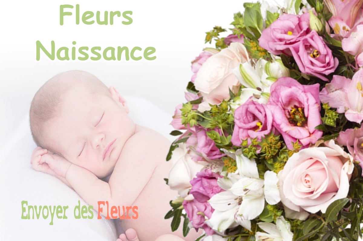 lIVRAISON FLEURS NAISSANCE à VINCENT